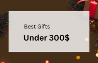 Gifts under $300