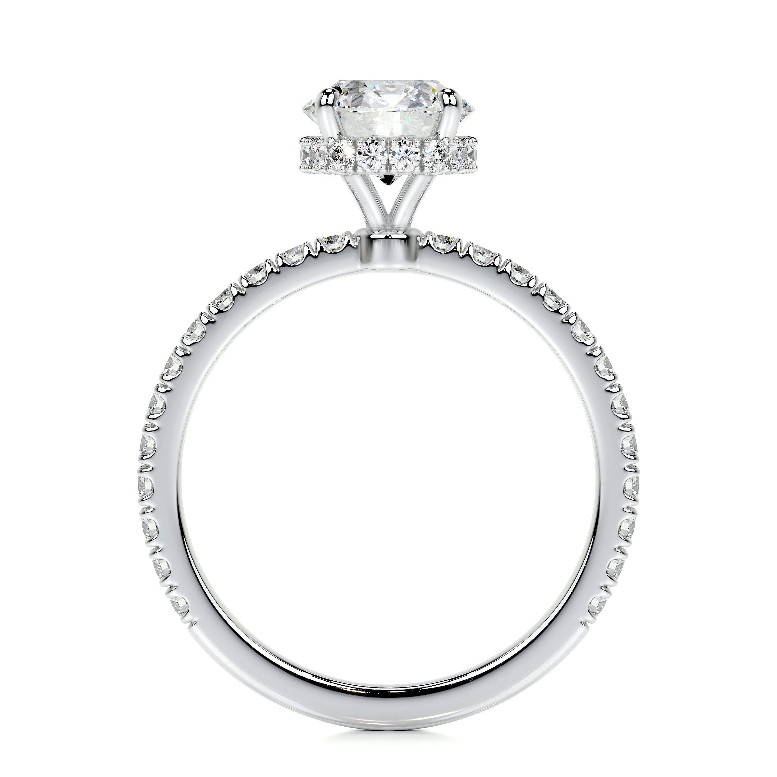 1.0 CT Round Hidden Halo CVD D/VS2 Diamond Engagement Ring 5